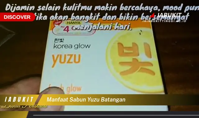 manfaat sabun yuzu batangan