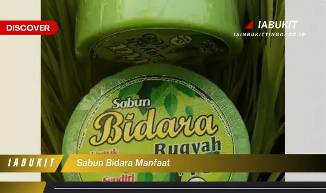 sabun bidara manfaat sabun bidara manfaat