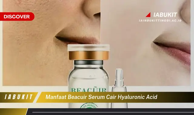 manfaat beacuir serum cair hyaluronic acid