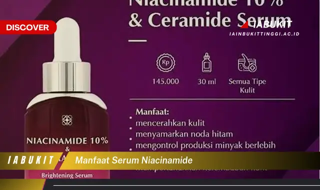 manfaat serum niacinamide