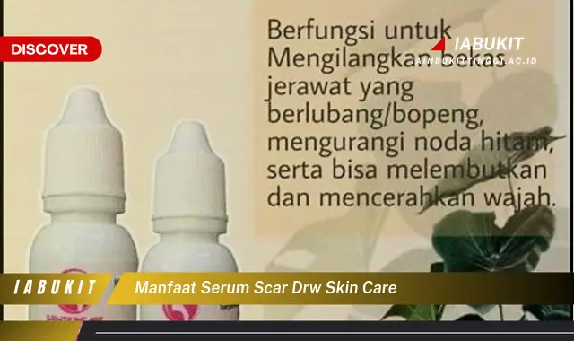 manfaat serum scar drw skin care manfaat serum scar drw skin care