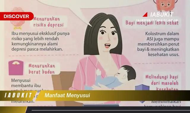 manfaat menyusui manfaat menyusui