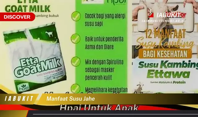 manfaat susu jahe manfaat susu jahe