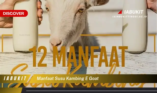 manfaat susu kambing e goat