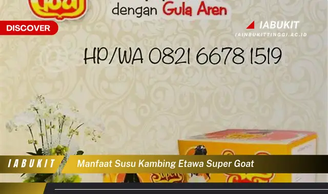 Intip 7 Manfaat Susu Kambing Etawa Super Goat yang Jarang Diketahui ...