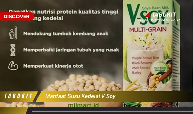 manfaat susu kedelai v soy