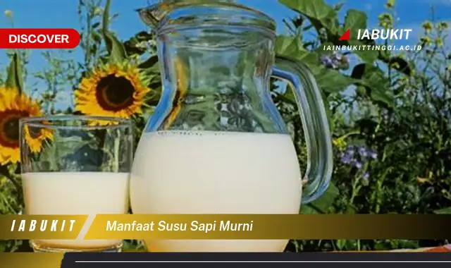 manfaat susu sapi murni manfaat susu sapi murni