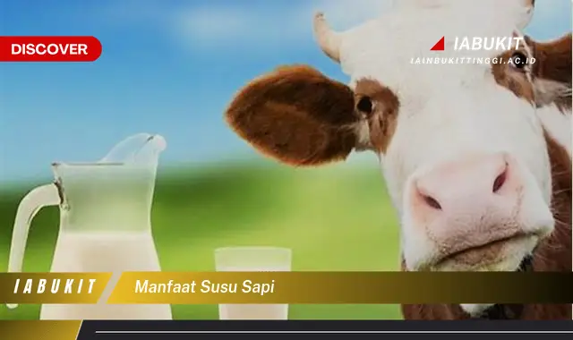 manfaat susu sapi