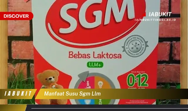 manfaat susu sgm llm