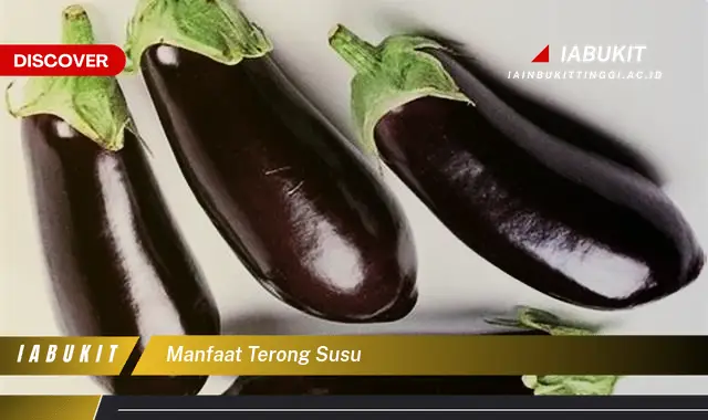 manfaat terong susu