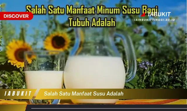 salah satu manfaat susu adalah