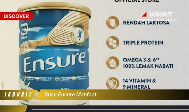 susu ensure manfaat