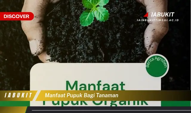 manfaat pupuk bagi tanaman