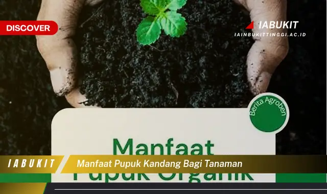 manfaat pupuk kandang bagi tanaman