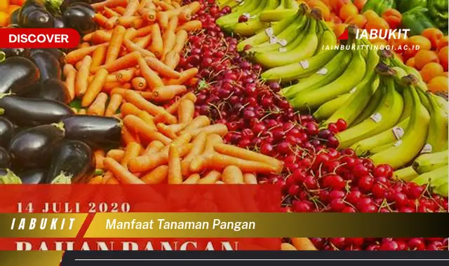 manfaat tanaman pangan