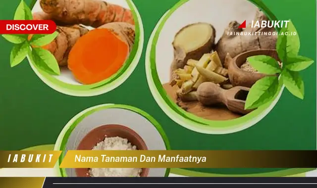 nama tanaman dan manfaatnya