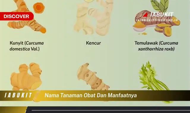 nama tanaman obat dan manfaatnya