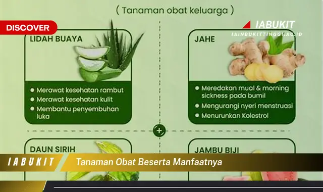 tanaman obat beserta manfaatnya