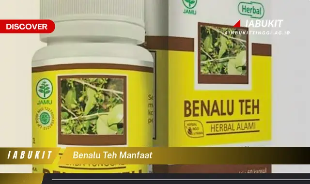 benalu teh manfaat