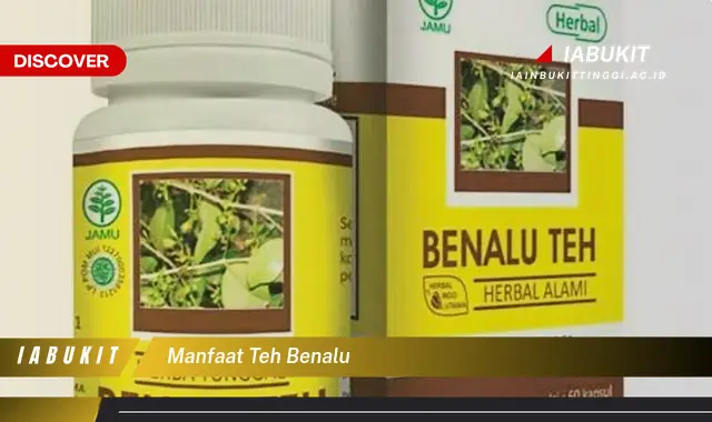 manfaat teh benalu