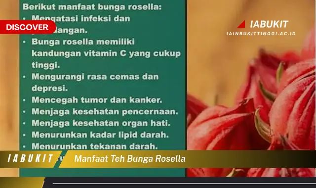 manfaat teh bunga rosella