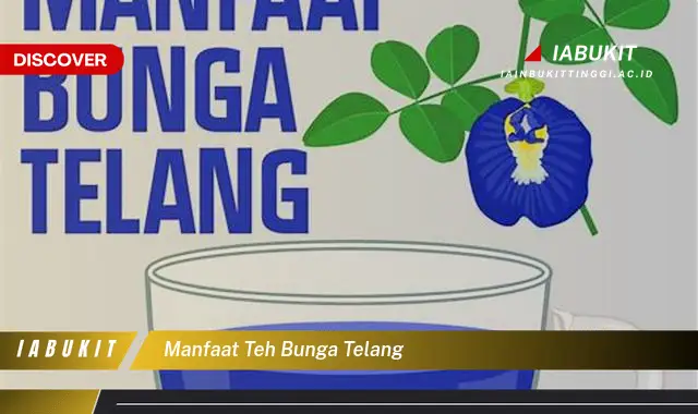 Ketahui 7 Manfaat Teh Bunga Telang Jarang Diketahui, Bikin Kamu Penasaran!