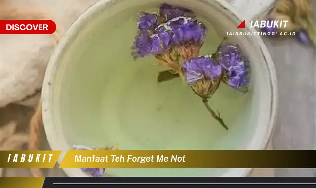 manfaat teh forget me not