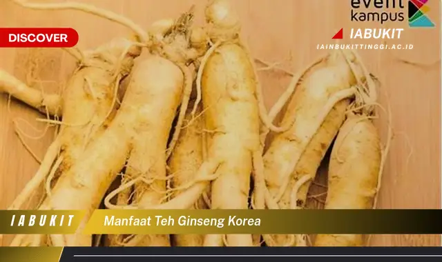 manfaat teh ginseng korea