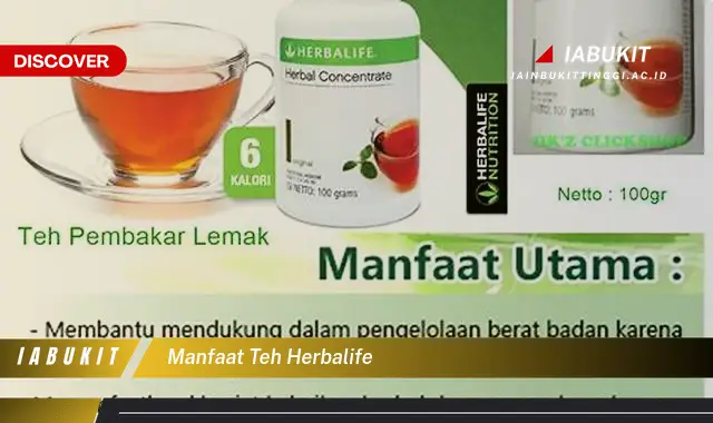 manfaat teh herbalife