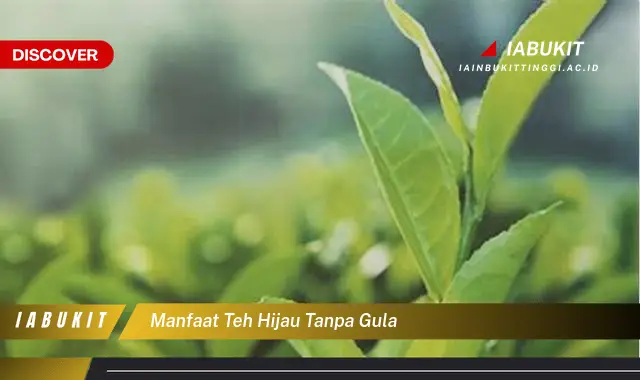 manfaat teh hijau tanpa gula