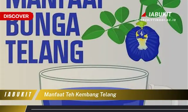 manfaat teh kembang telang