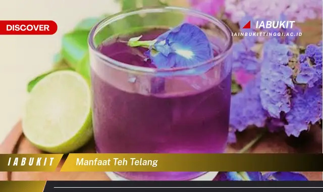 manfaat teh telang manfaat teh telang