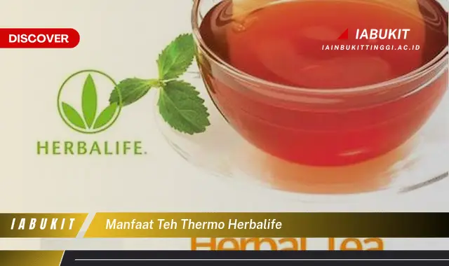 manfaat teh thermo herbalife