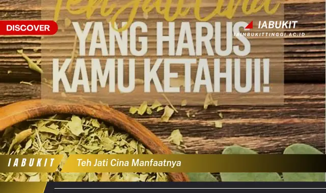 teh jati cina manfaatnya teh jati cina manfaatnya