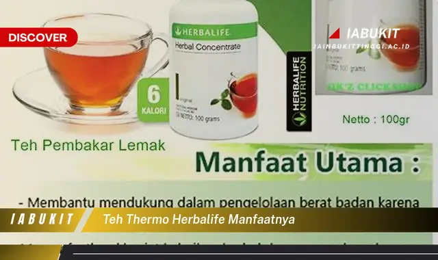 teh thermo herbalife manfaatnya
