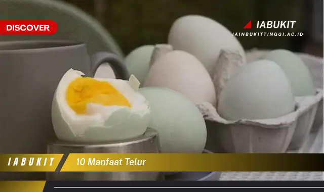 10 manfaat telur