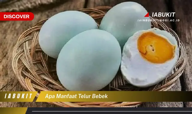 apa manfaat telur bebek