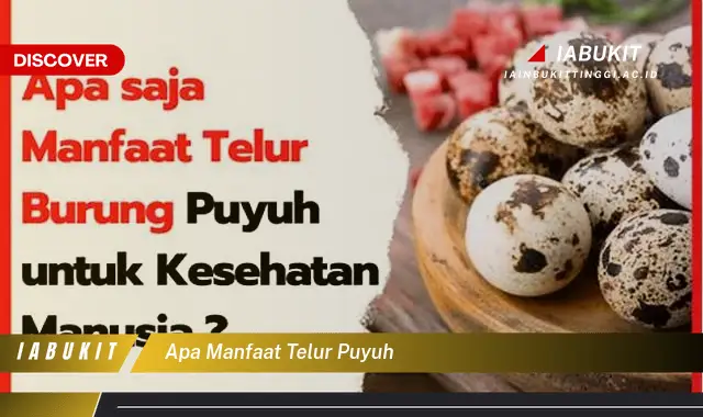 apa manfaat telur puyuh