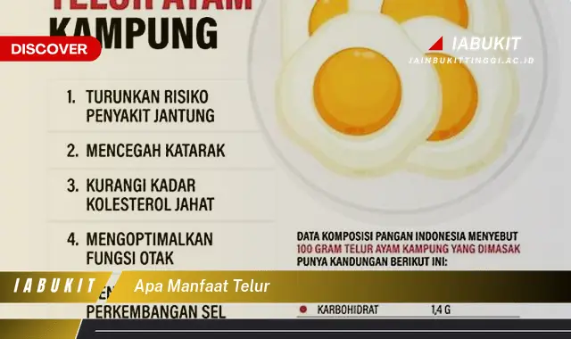 apa manfaat telur