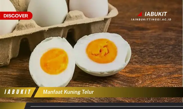 manfaat kuning telur