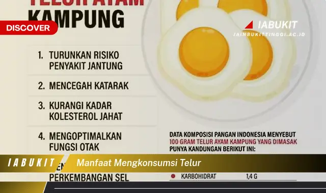 manfaat mengkonsumsi telur