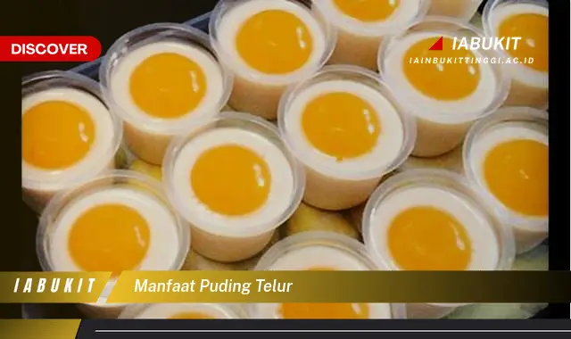 manfaat puding telur