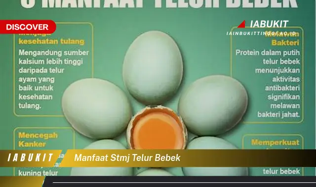 manfaat stmj telur bebek