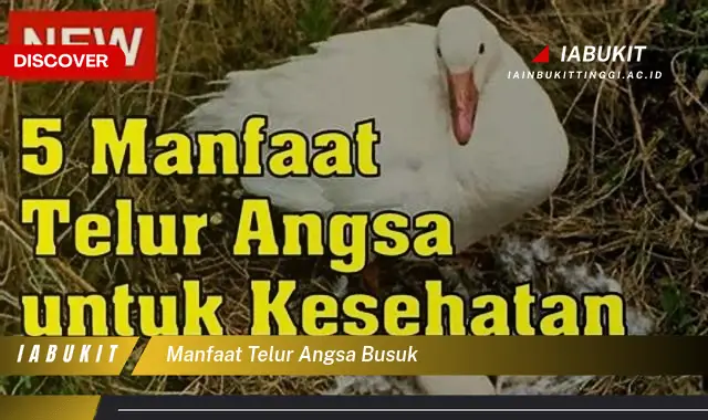 Temukan 5 Manfaat Telur Angsa Busuk yang Jarang Diketahui, Bikin Kamu Penasaran!