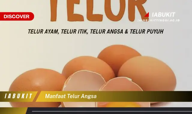 manfaat telur angsa