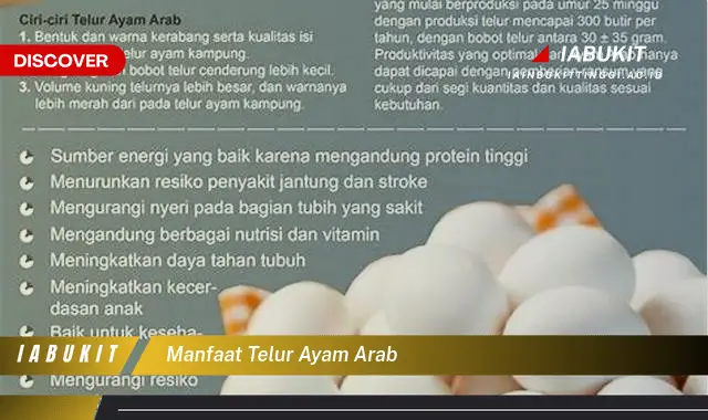 manfaat telur ayam arab