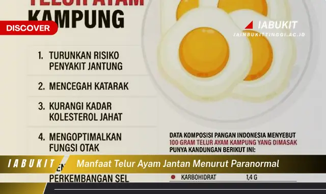 manfaat telur ayam jantan menurut paranormal