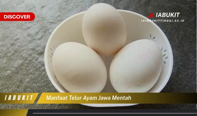 manfaat telur ayam jawa mentah