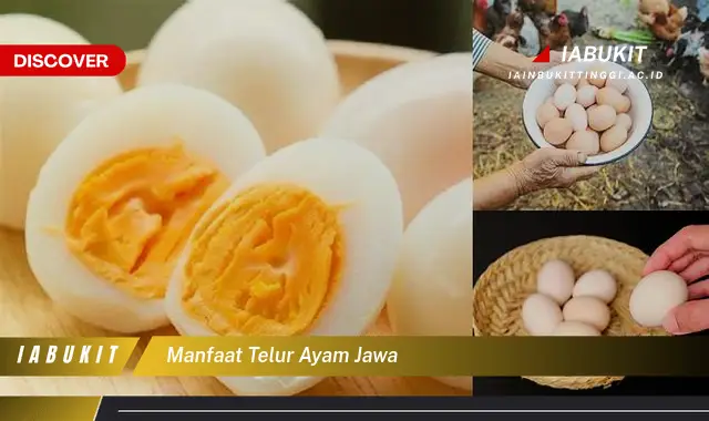 Temukan 7 Manfaat Telur Ayam Jawa Jarang Diketahui