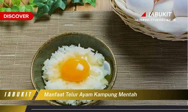 manfaat telur ayam kampung mentah